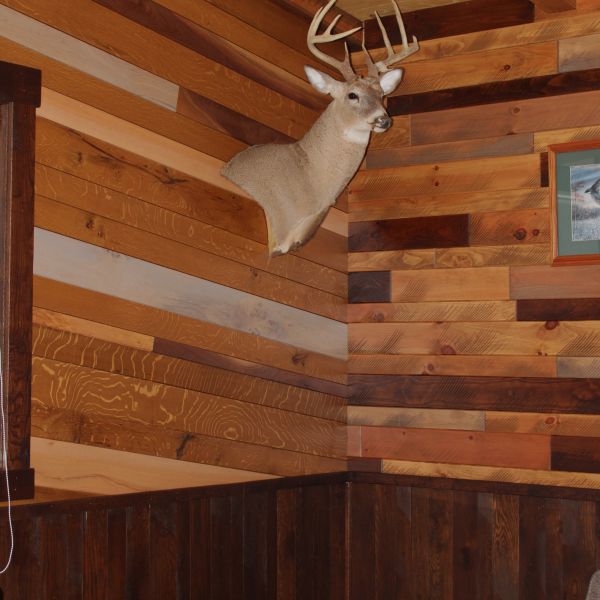 Warning: Undefined array key 